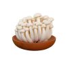 Nấm linh chi trắng đóng Gói 150g