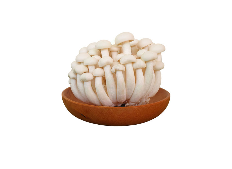 Nấm linh chi trắng đóng Gói 150g